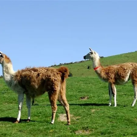 6 Personnes, 1 Chambre, Pied Pistes, Balcon Sud, - Fr-1-404-60 * ラ・モンジー